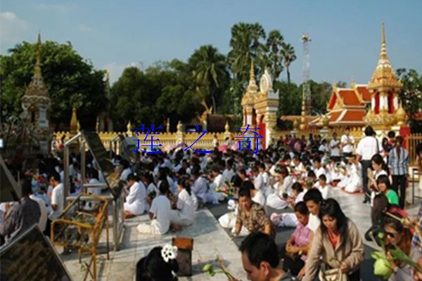 <b>荷花是传统名花</b>